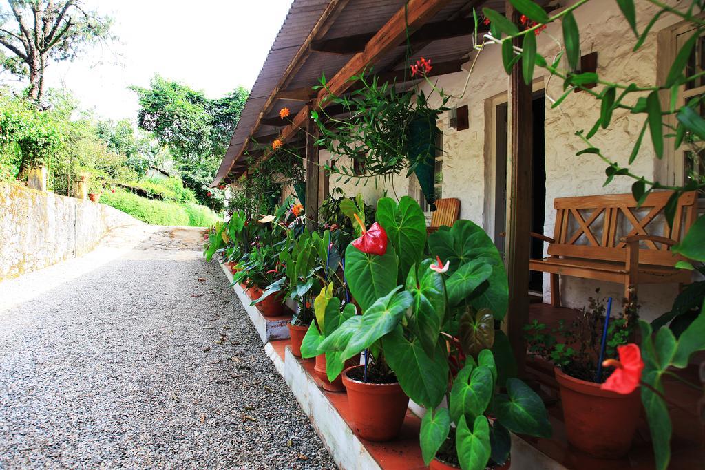 Thekkady Kalarickal Heritage Bungalow Vandanmedu Exterior foto